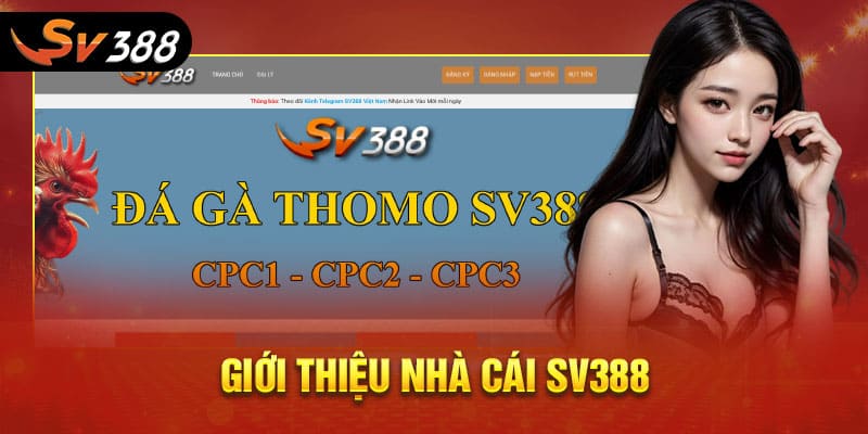Đi đúng sảnh trong bản đồ sản phẩm SV388